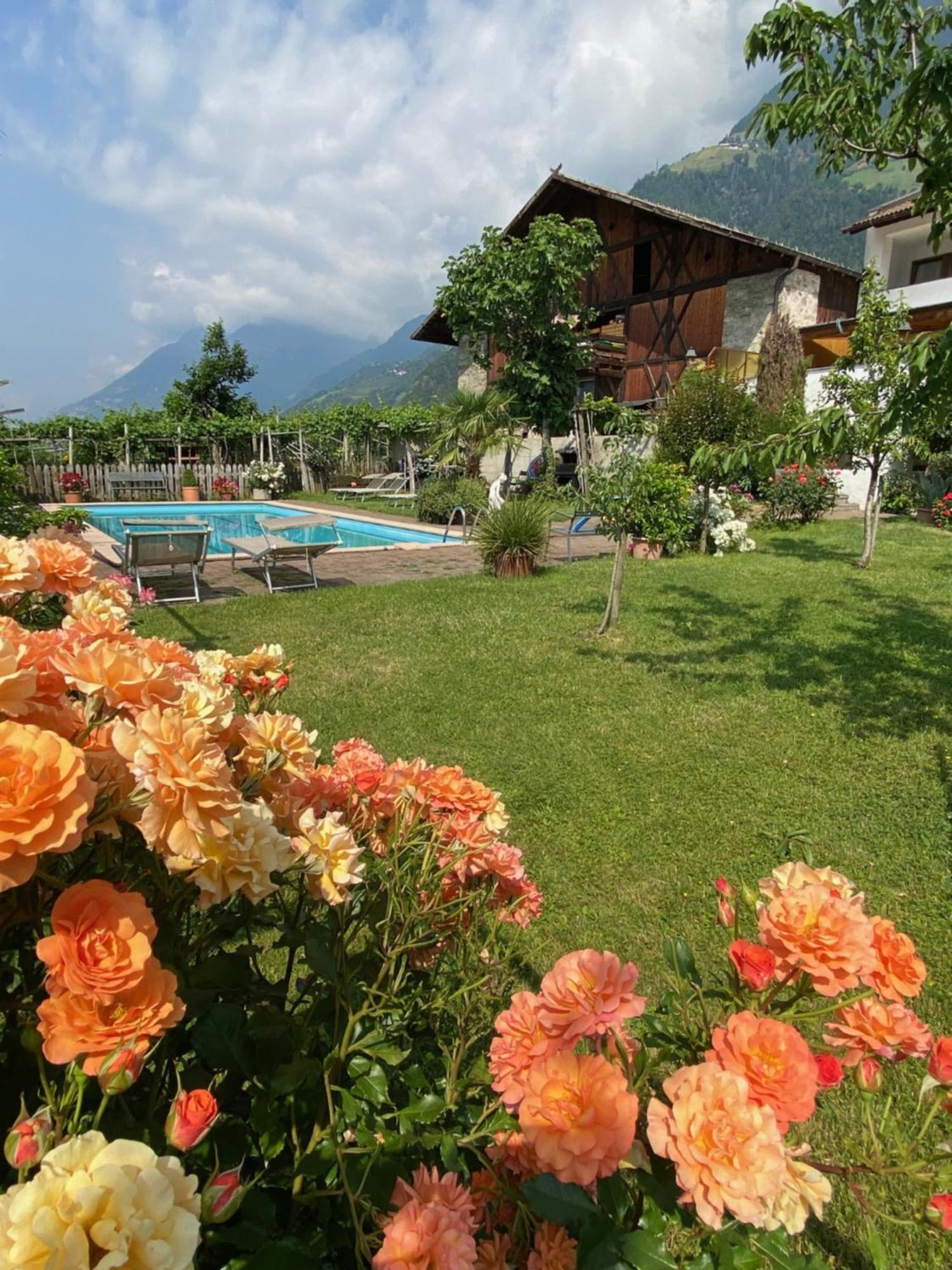 Garni-hotel Tritscherhof Hotel 3*
